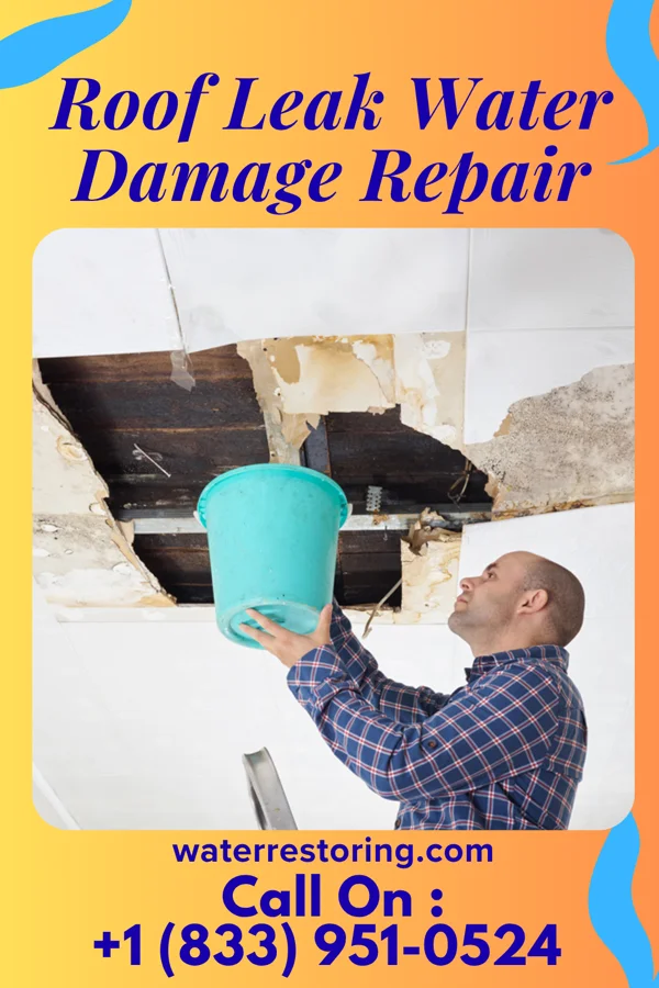 Roof Leak Water Damage Repair in Greenleaf, ID